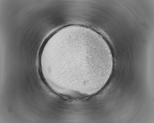 X0000110861028200907301348