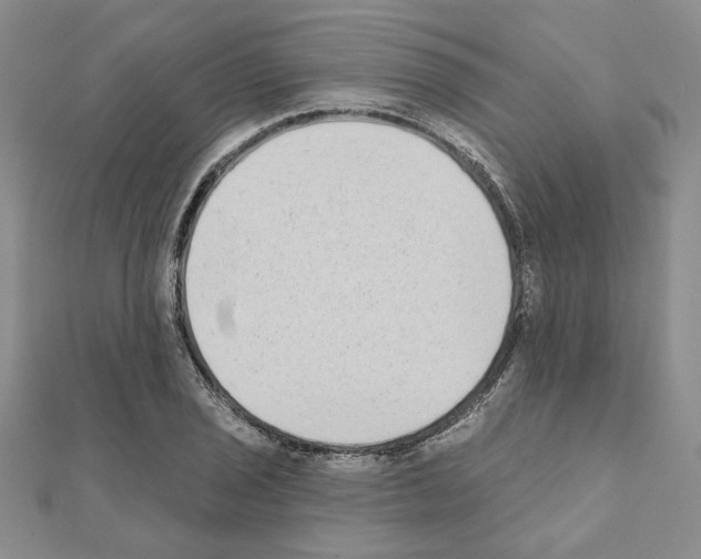 X0000110861029200907301348
