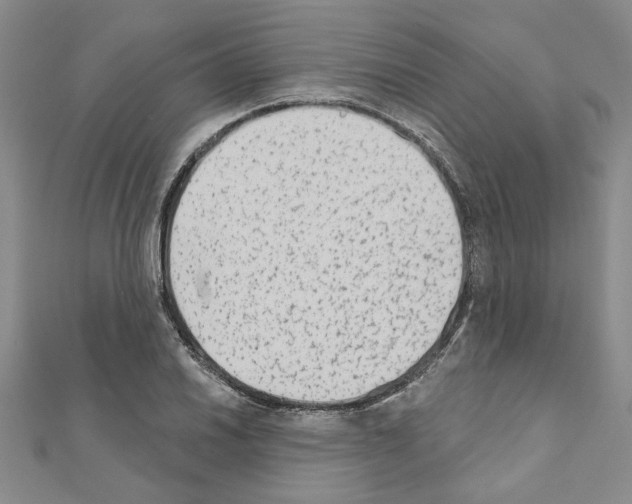 X0000110861030200907301348