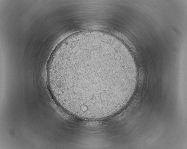 X0000110861031200907301348