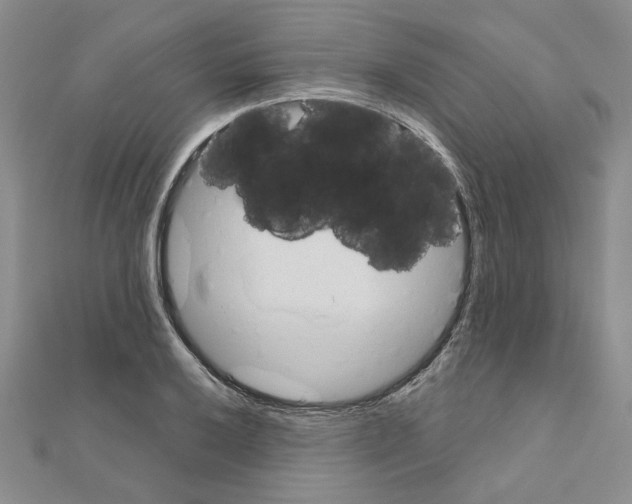 X0000110861032200907301348