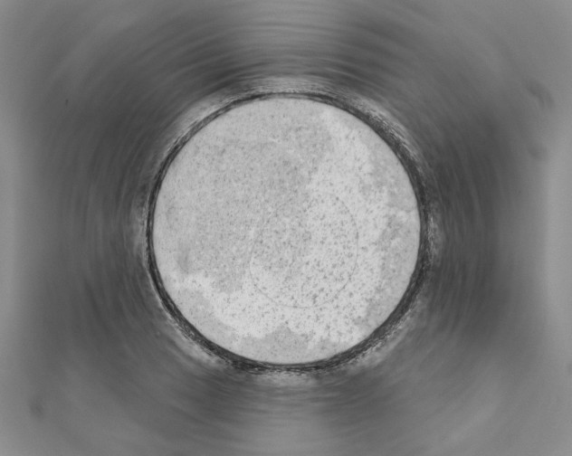 X0000110861033200907301348