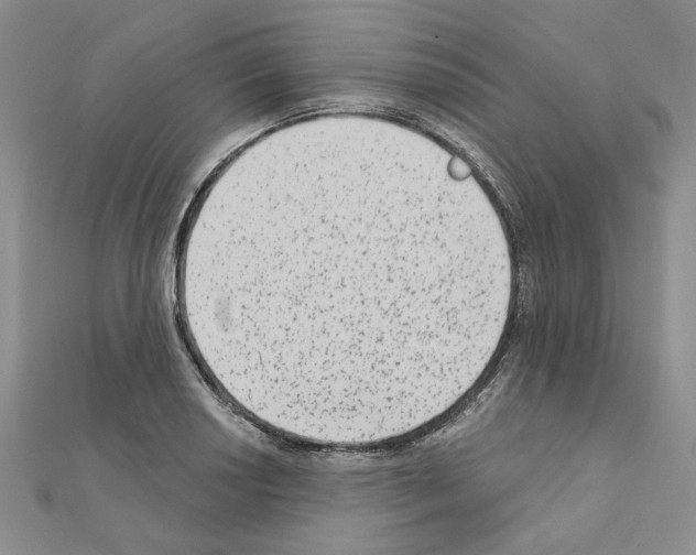 X0000110861034200907301348