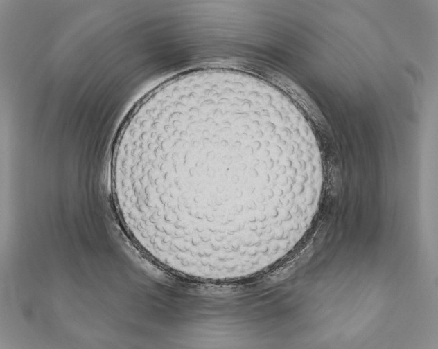 X0000110861036200907301348