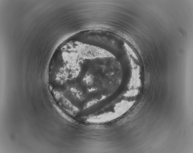X0000110861037200907301348