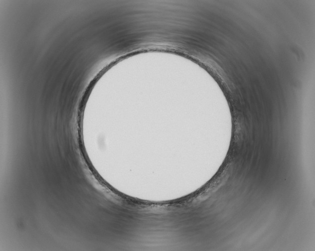 X0000110861038200907301348