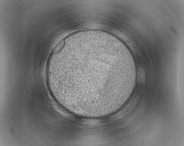 X0000110861039200907301348