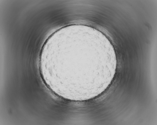 X0000110861040200907301348