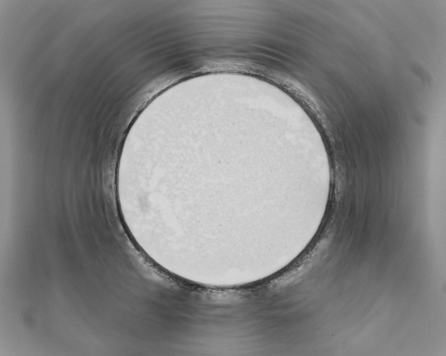 X0000110861041200907301348