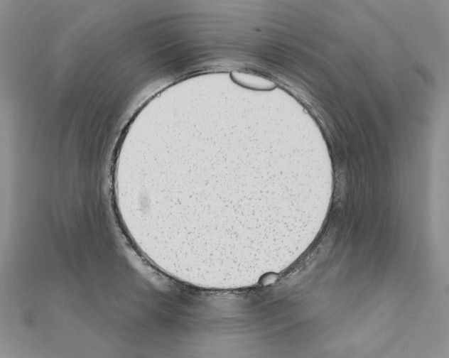 X0000110861042200907301348