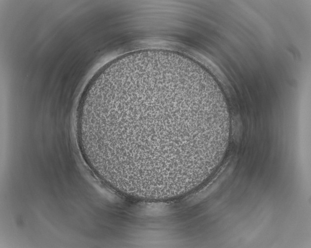 X0000110861043200907301348