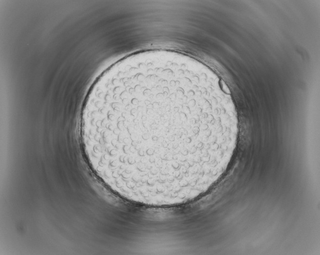 X0000110861044200907301348