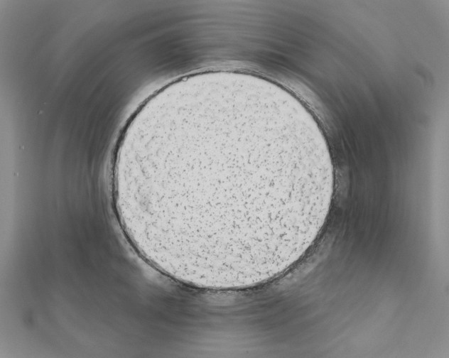 X0000110861046200907301348