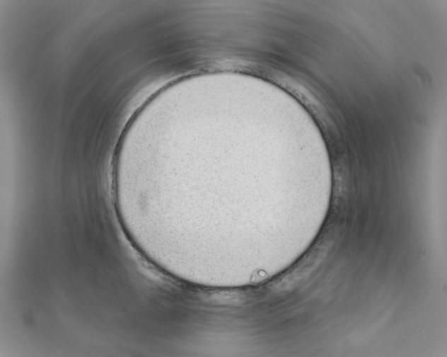 X0000110861047200907301348