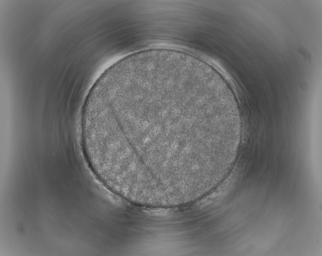 X0000110861048200907301348