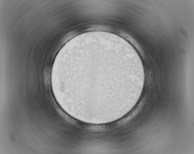 X0000110861049200907301348