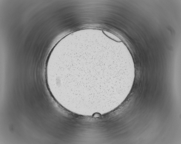 X0000110861050200907301348