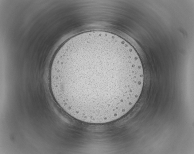 X0000110861051200907301348