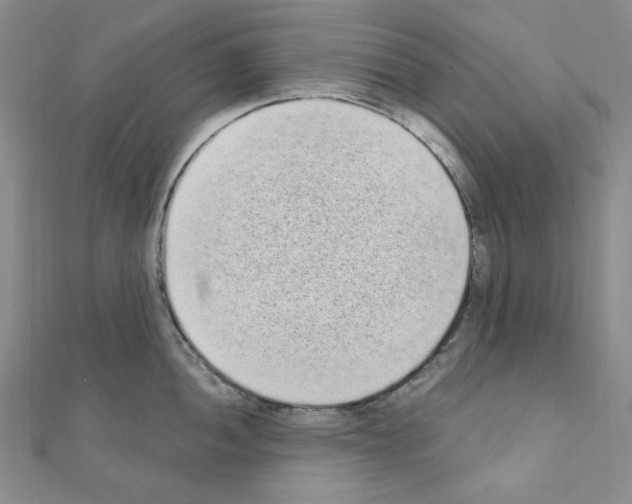 X0000110861052200907301348