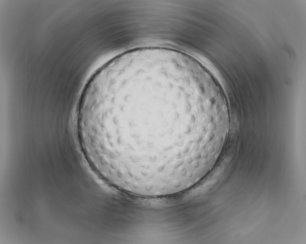 X0000110861053200907301348