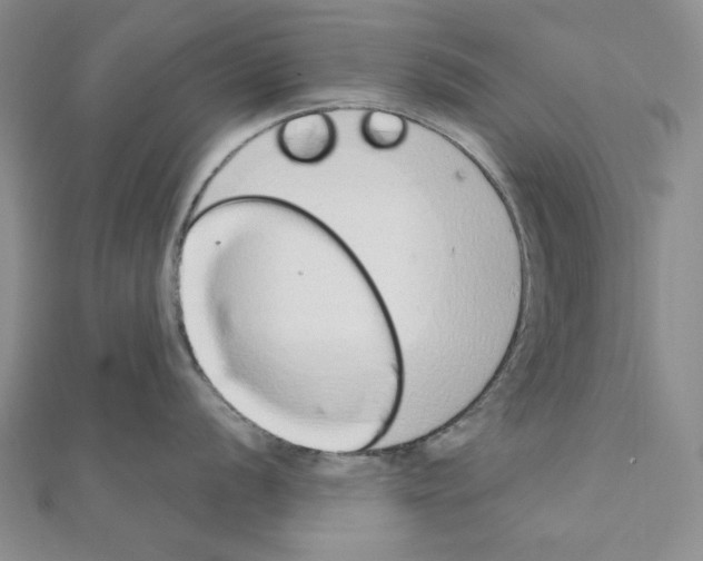 X0000110861056200907301348