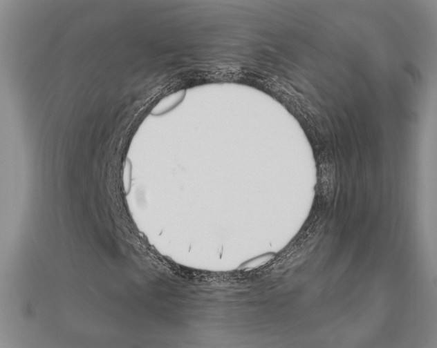 X0000110861057200907301347