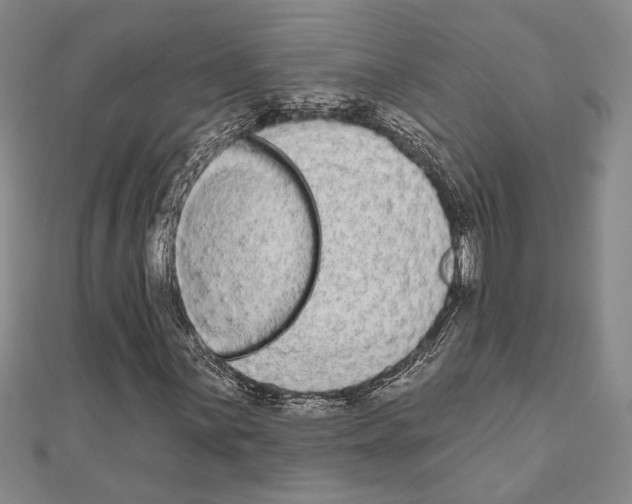 X0000110861059200907301347