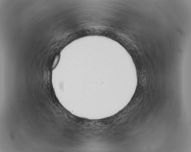 X0000110861061200907301347
