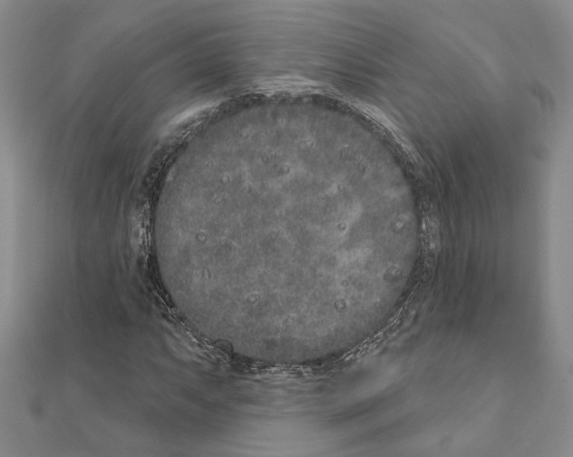 X0000110861063200907301347