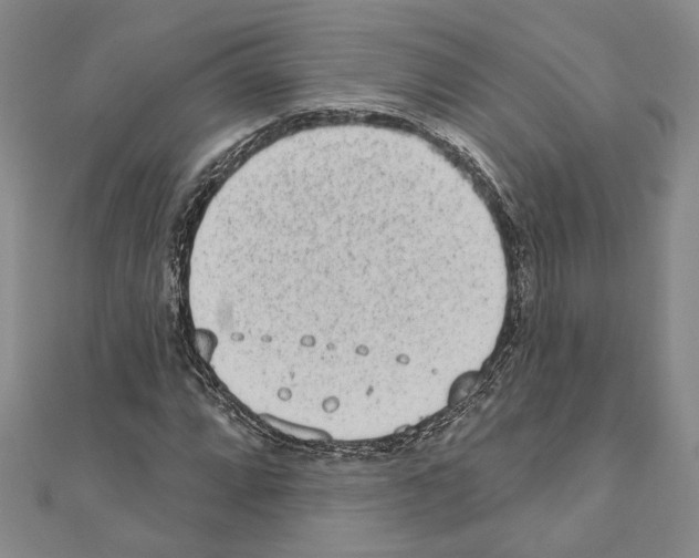 X0000110861064200907301347
