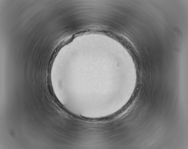 X0000110861065200907301347