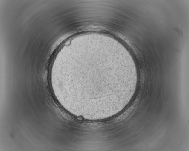 X0000110861066200907301347