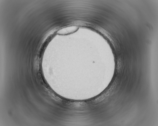 X0000110861067200907301347