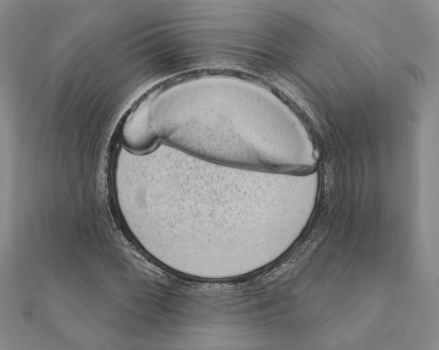 X0000110861068200907301347
