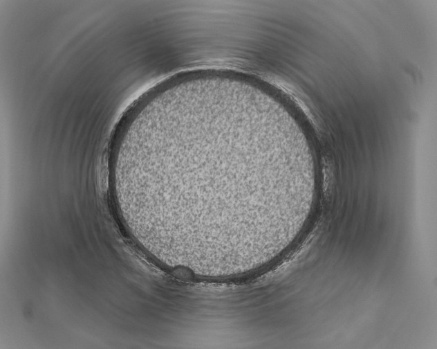 X0000110861069200907301347