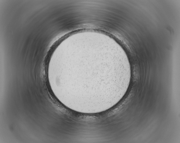 X0000110861070200907301347