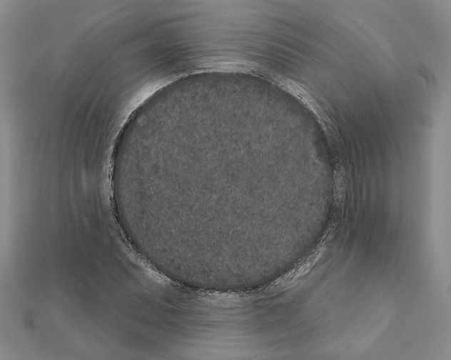 X0000110861071200907301347