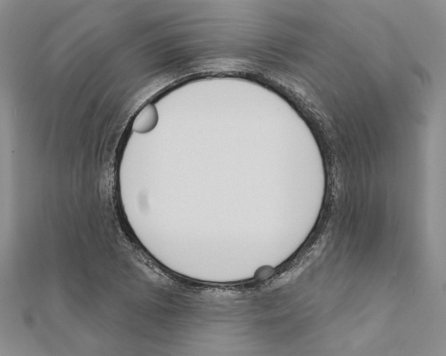 X0000110861073200907301347