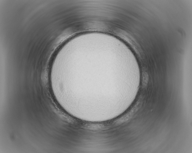 X0000110861074200907301347