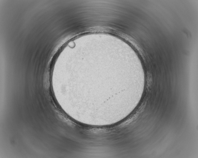 X0000110861075200907301347