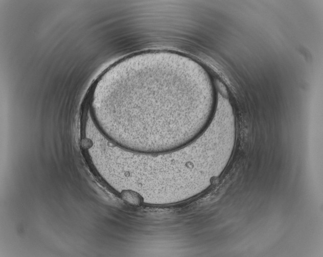 X0000110861076200907301347