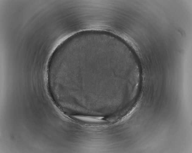 X0000110861077200907301347