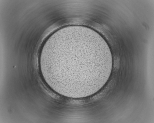 X0000110861078200907301347