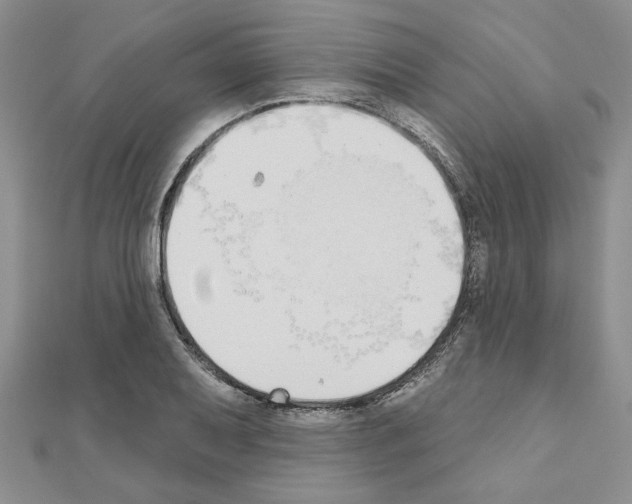 X0000110861079200907301347