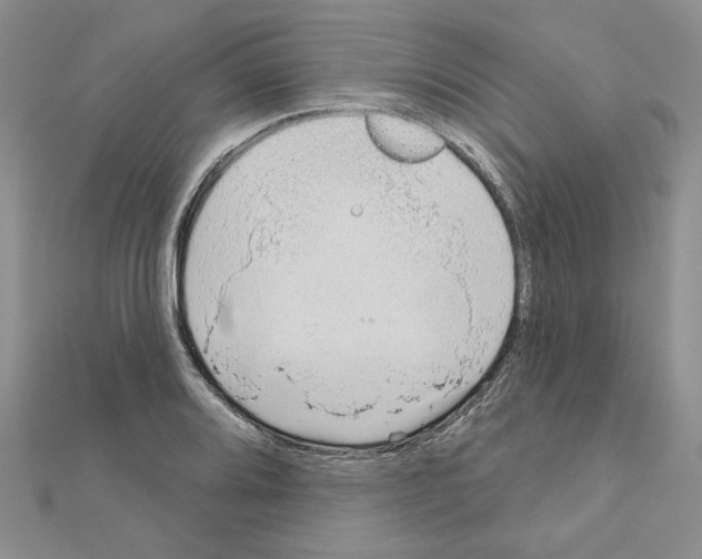 X0000110861080200907301347