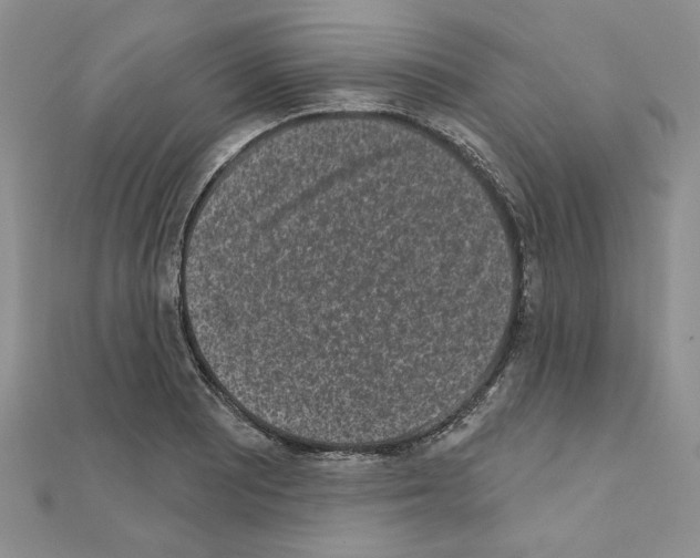 X0000110861081200907301347