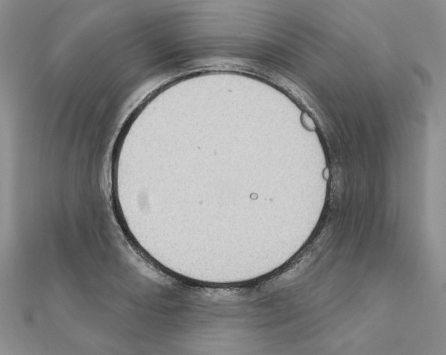X0000110861082200907301347