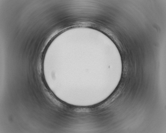 X0000110861083200907301347