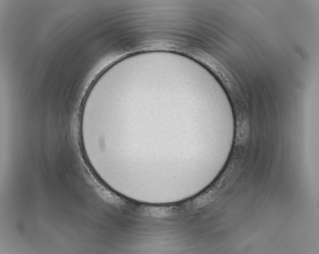 X0000110861086200907301347
