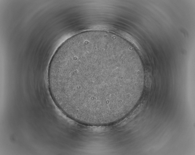 X0000110861087200907301347